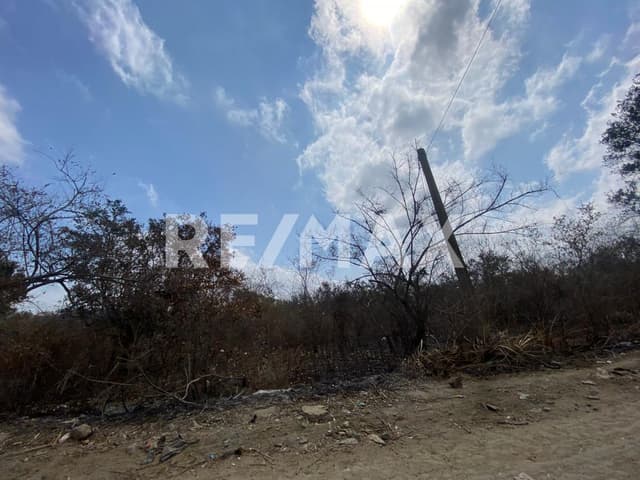 Excelente Terreno en Renta 