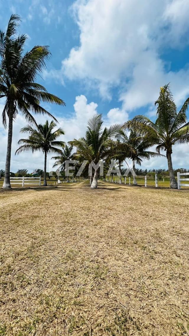 EXCLUSIVO TERRENO CAMPESTRE EN VENTA