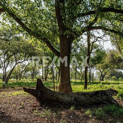 Terreno de 1,500m2 en Montemorelos NL Mx