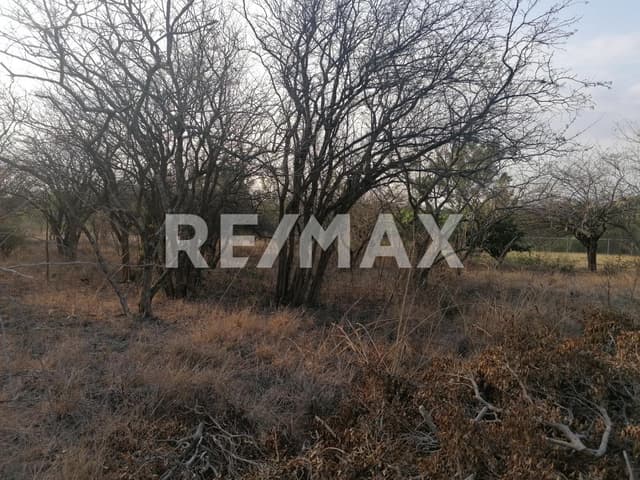 Terreno en venta fracc. Guadalupe country