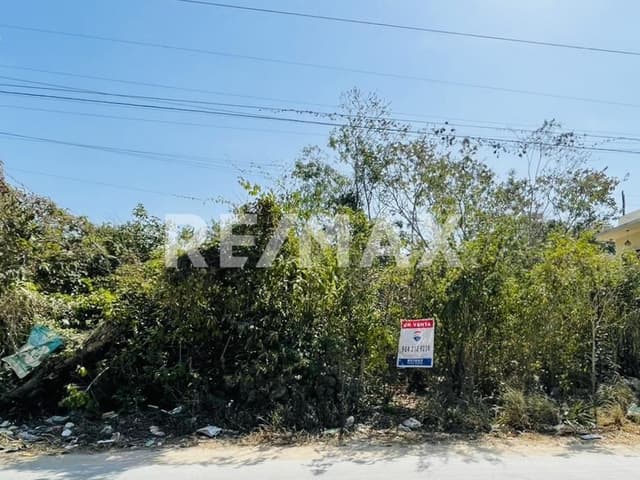 TERRENO EN VENTA en TULUM PUEBLO en LA VELETA