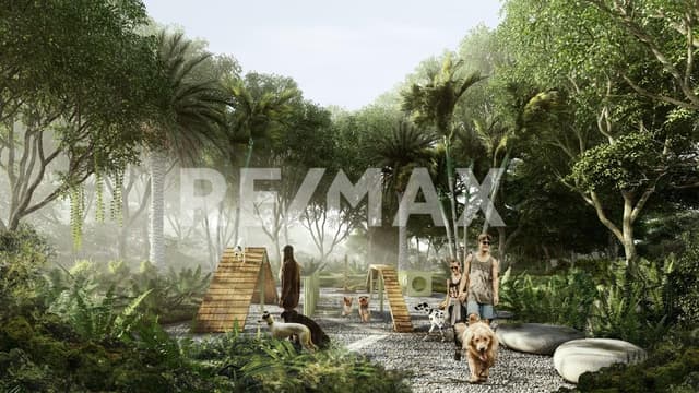 Terrenos Holistik BEECHEII