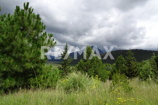 Terreno en Venta - 5