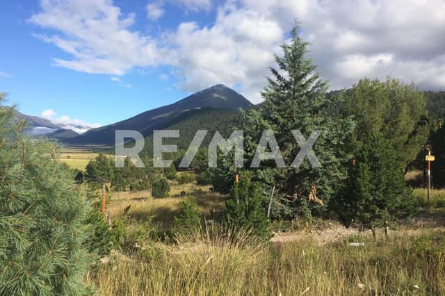 Terreno en Venta - 5