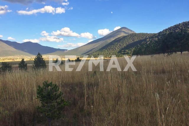 Terreno en Venta - 5