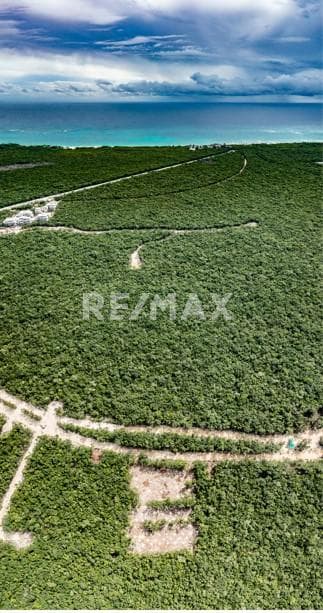 property image preview0