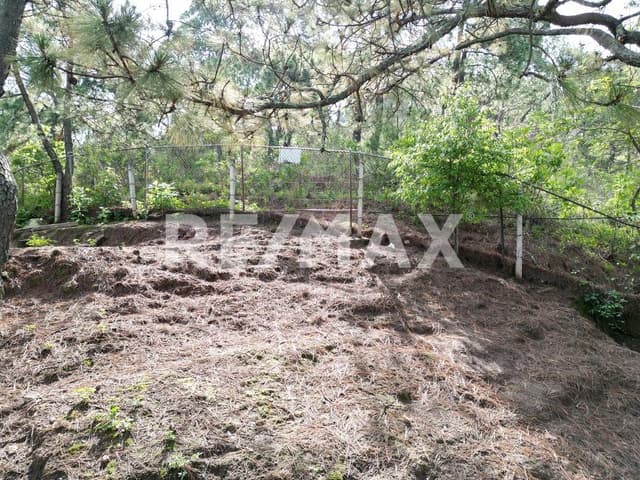 Terreno en Venta 