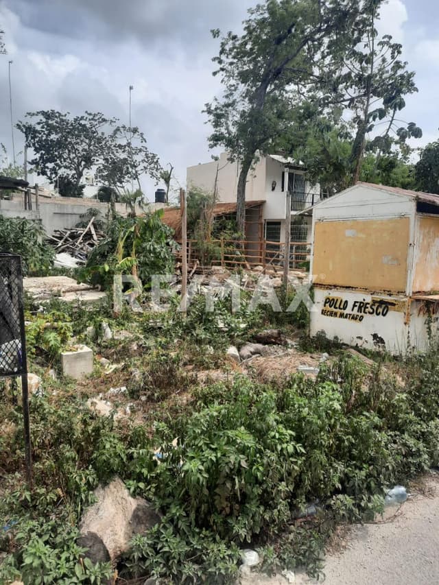 EN VENTA TERRENO EN TULUM