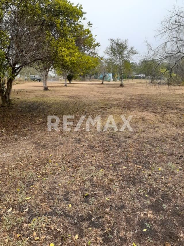 Terreno en venta Paraiso Tortuga 