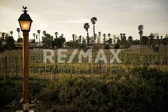 Terreno residencial en Venta Rancho Tecate Tijuana