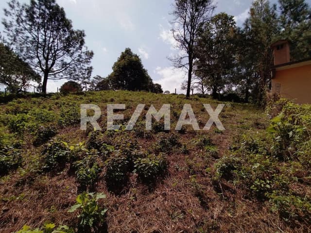 Terreno en Venta 