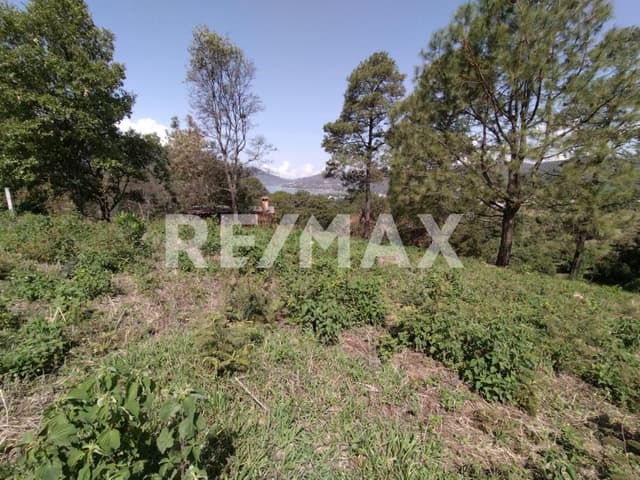 Terreno en Venta 