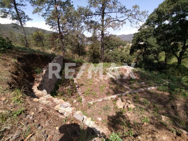 Terreno en Venta 