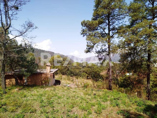 Terreno en Venta 