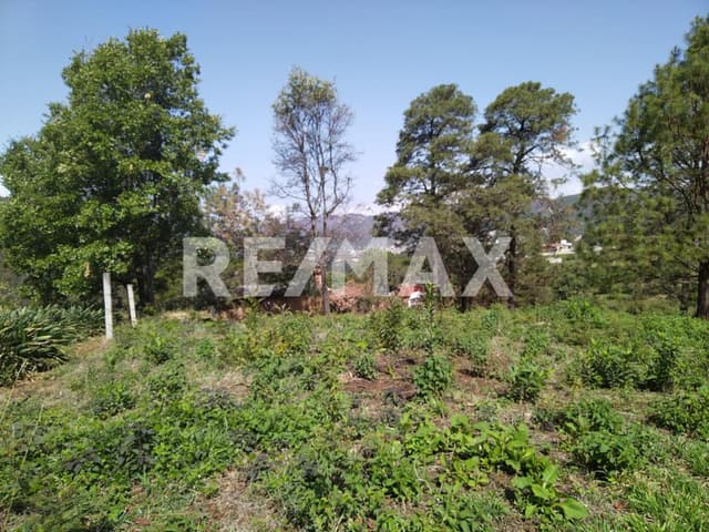 Terreno en Venta 