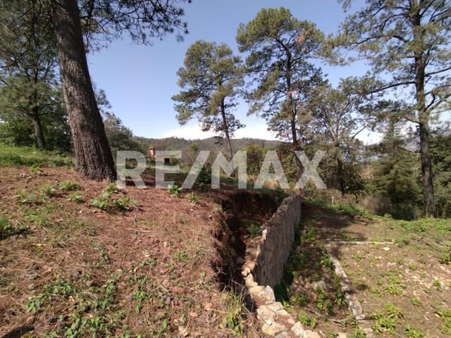 Terreno en Venta 