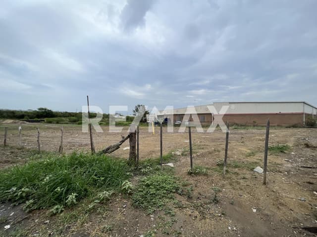 TERRENO EN VENTA EN CENTRO DE ALTAMIRA, TAM.