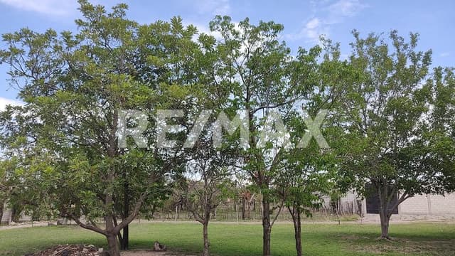 Terreno en Venta con vista al Tepozteco