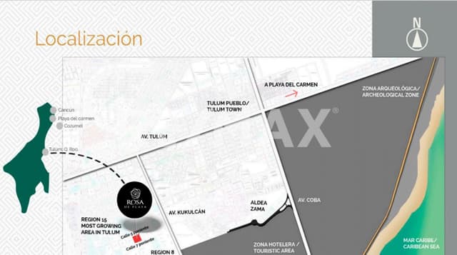 ROSA DE PLATA REGION 15