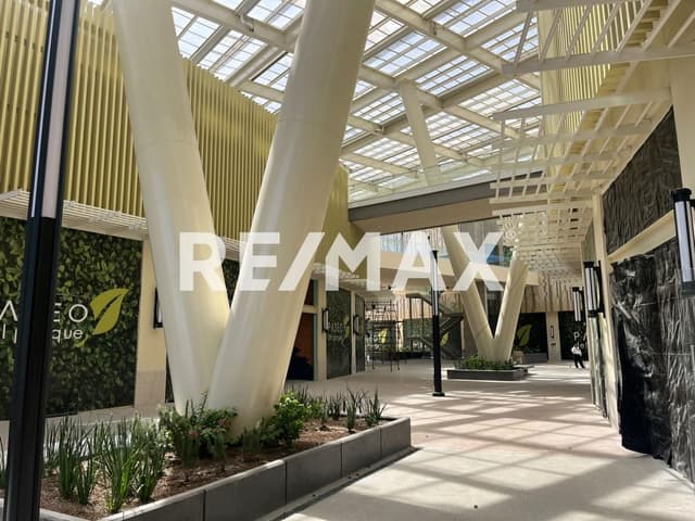 LOCAL COMERCIAL EN RENTA DE 200 M2, EN PLAZA PASEO DEL PARQUE