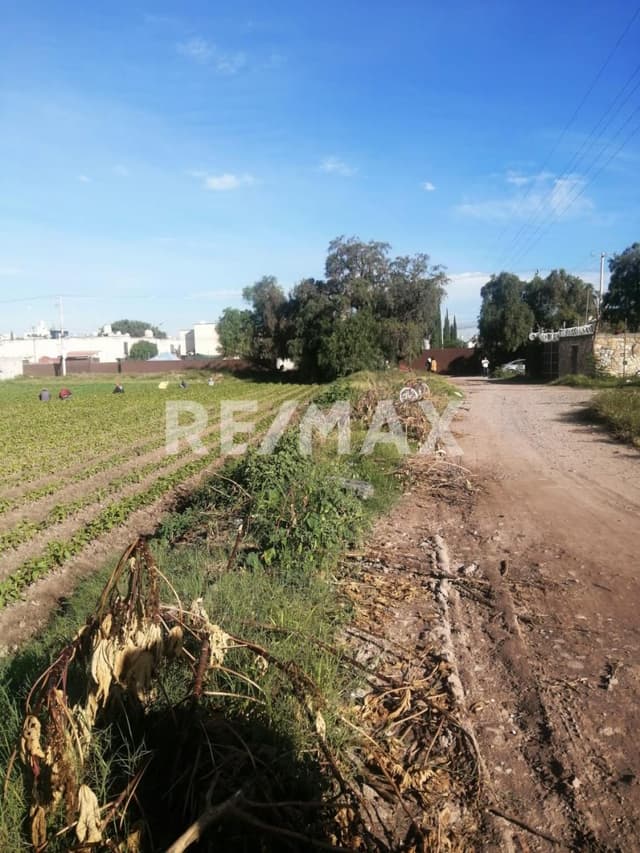 TERRENO EN VENTA HACIENDA DEL BOSQUE CELAYA