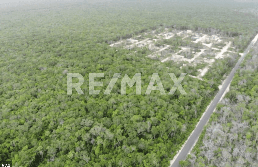 Hectarea en venta en Reg 11 , Tulum