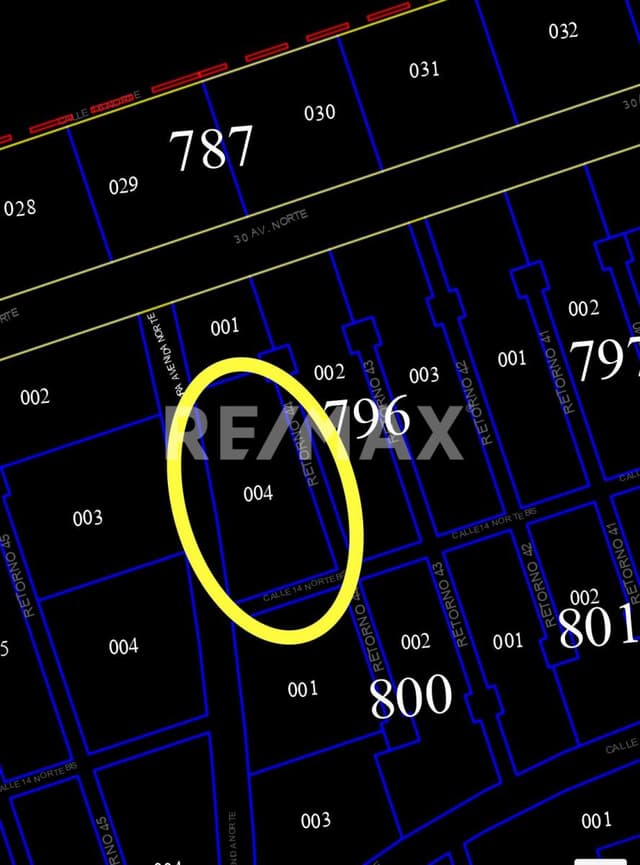Hectarea en venta en Tulum  , Mza 796 lote 004