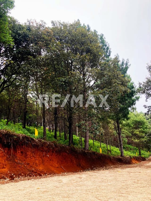 Se vende terreno campestre en Proyecto Avellaneda