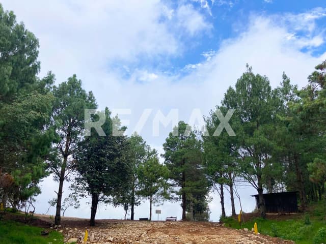 Se vende terreno campestre en Proyecto Avellaneda