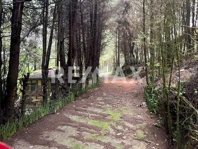 Terreno en Venta 