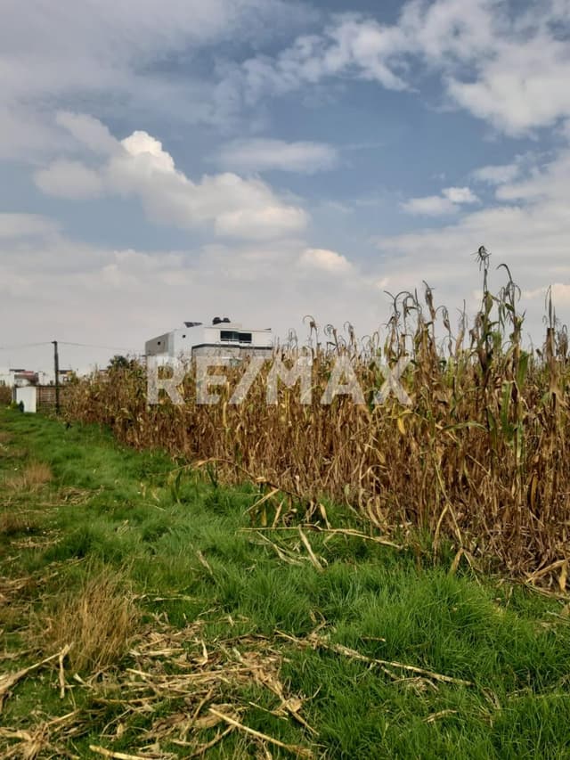 TERRENO EN VENTA