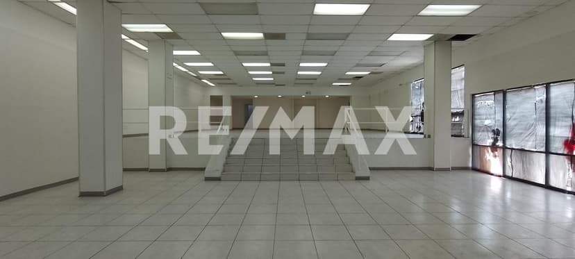 Gallery main
