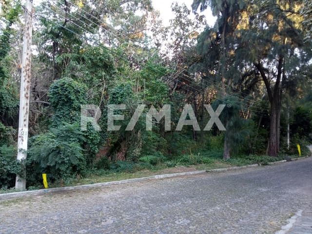 TERRENO EN VENTA PINAR DE LA VENTA 