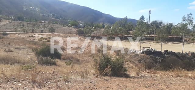 Se vende amplio terreno en el Valle de Guadalupe