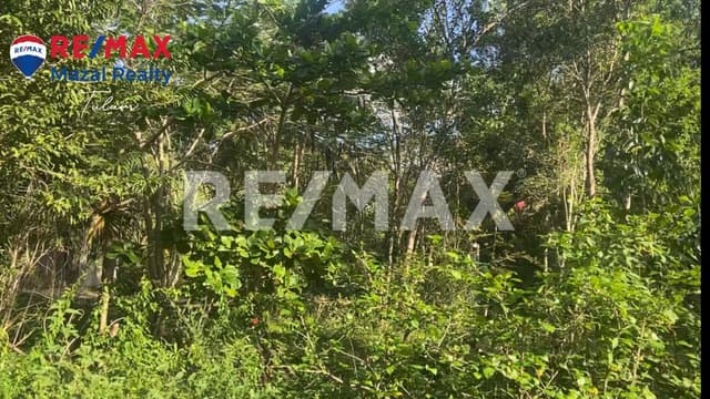 Terreno residencial cerca del aeropuerto de Tulum