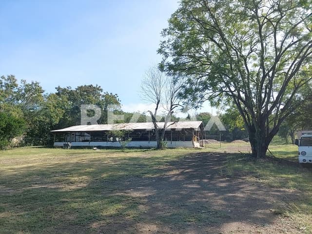 Terreno campestre 3,176m2 en El Venado, Allende Nuevo León Mexico - 1326