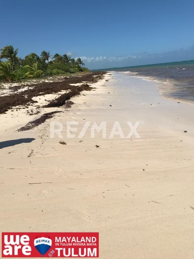 Sian Kaan 200 Meters of Playa Tulum Beach for Sale