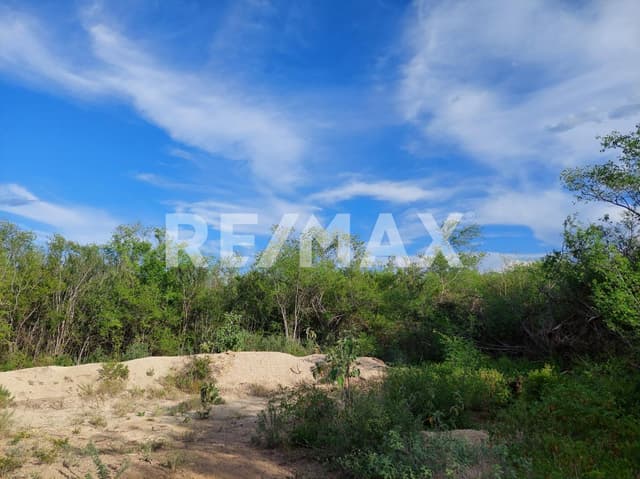 Terreno 5,177m2 en Canoas Montemorelos Nuevo León