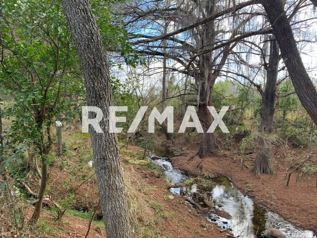 Venta terreno 13,790m2 en Allende Nuevo León