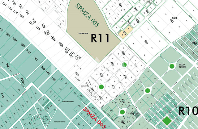 EN VENTA UNA HECTAREA DE TERRENO UBICADO EN LA COLONIA CRISTAL DE TULUM