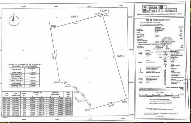EN VENTA UNA HECTAREA DE TERRENO UBICADO EN LA COLONIA CRISTAL DE TULUM