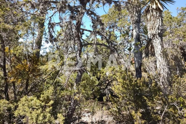 Terreno en Venta - 5