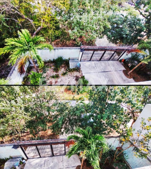 CASA ALISSEÊ – CENOTE LUXURY LIVING BY RE/MAX MAYALAND TULUM