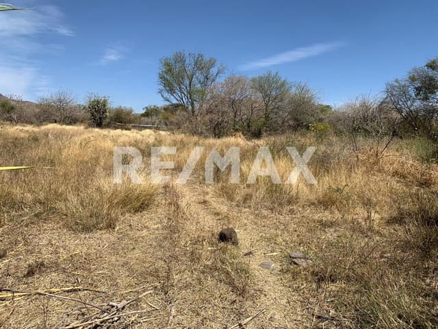 Terreno / Venta