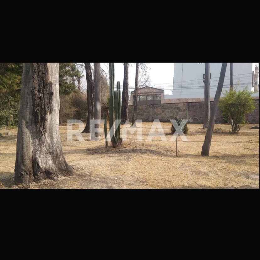 Gallery preview 3