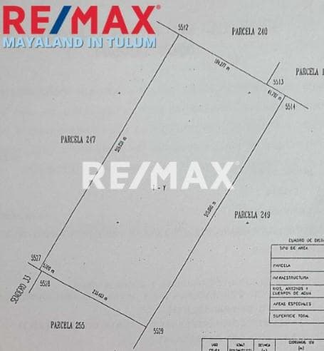 EN VENTA HECTAREA DE TERRENO EN TULUM UBICADO EN DOS OJOS 