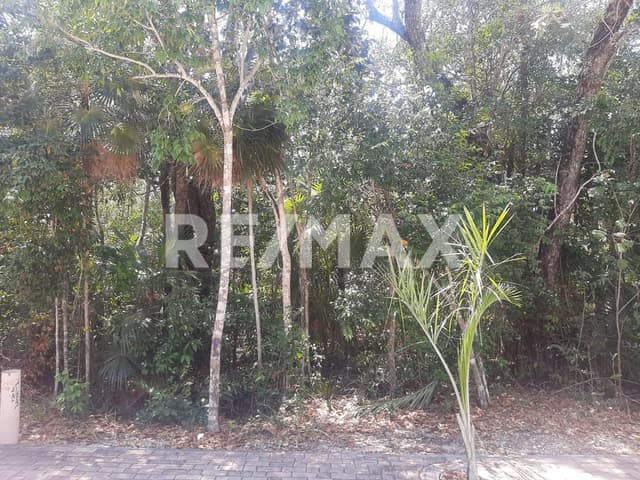 LOTE 37 MZA 12 ÁREA COMERCIAL ZAMA