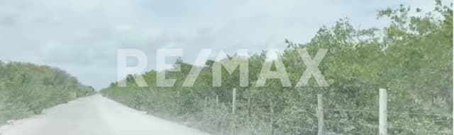 TERRENO HABITACIONAL