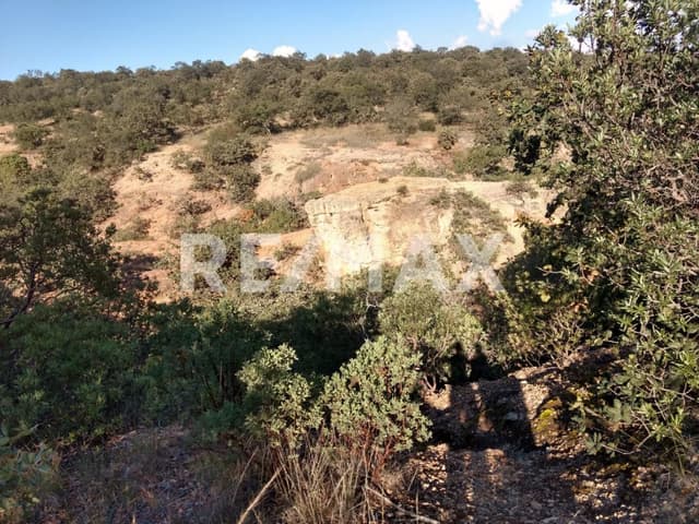 TERRENO EN VENTA JUVENTINO ROSAS