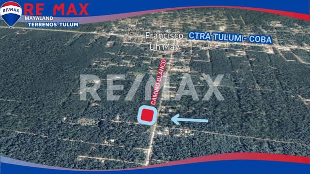 REMATE !!! hectárea con excelente ubicación en Francisco Hu May, Tulum